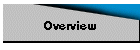 Overview